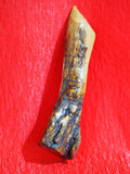 Mezuzah