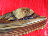 Mezuzah