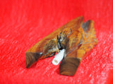Mezuzah