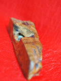 Mezuzah