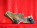 Abstract Decor